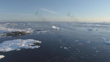 北极极地开阔水域冰川鸟图